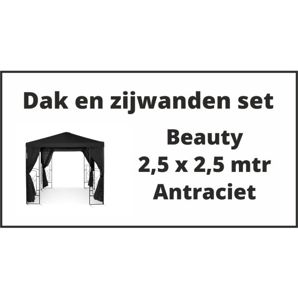 Beauty 2,5x2,5 m Set Dak en zijwanden Antraciet