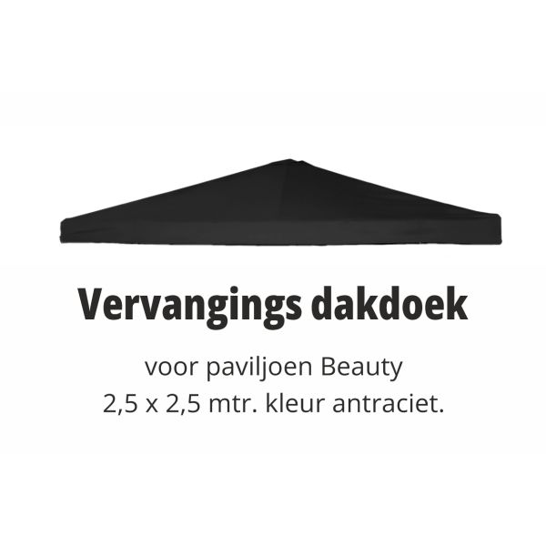 Beauty 2,5x2,5 m Reserve Dakdoek Vervangings dak-Antraciet